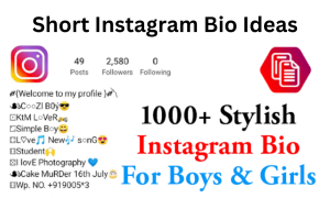 Instagram bio copy and paste 